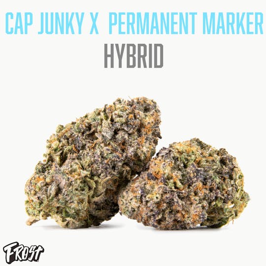 Frost - Cap Junky x Permanent Marker (32% THC Hybrid) - 1