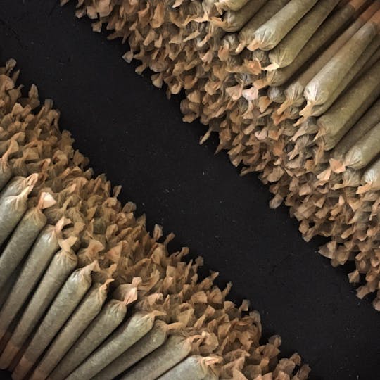 Peak Maine Cannabis - 30x Pack of Pre-Rolls: Gorilla Pops - Peak Maine - 1