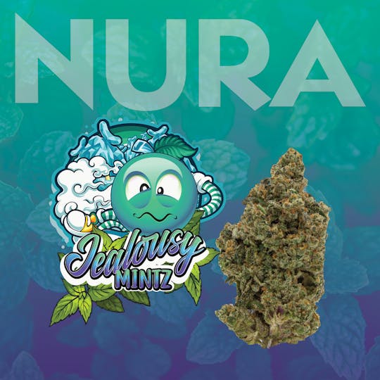 Nura - Jealousy Mintz - 1