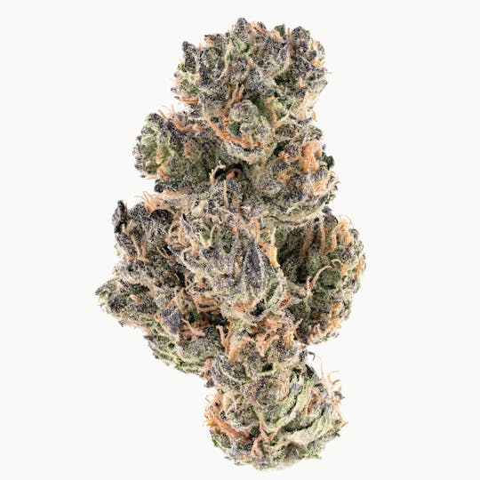 Hype Train - Sunset Paradise - 1