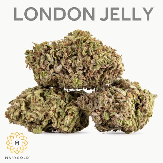 Marygold - London Jelly 3.5g (Indica 30% THC) - 1