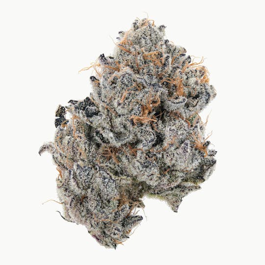 East Coast Cannabis - Snake Cake - 1