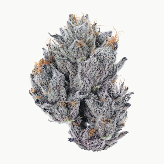 East Coast Cannabis - Project 4516 - 1