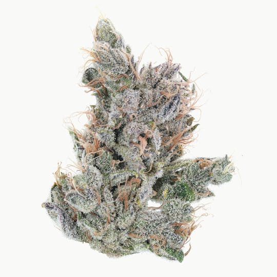 East Coast Cannabis - Ghost Train Haze #11 - 1