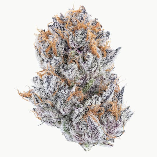 East Coast Cannabis - Grapes 'N Cream - 1