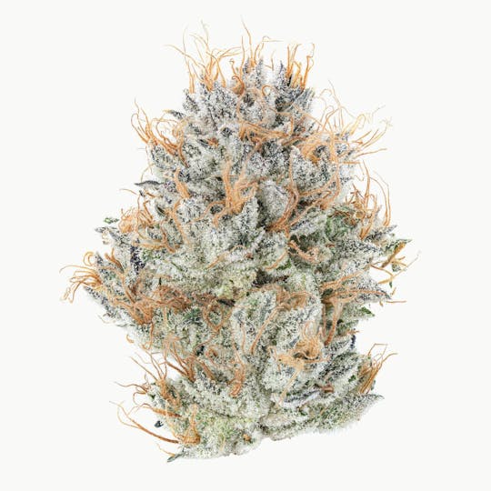 East Coast Cannabis - Buffalo Soldier - 1