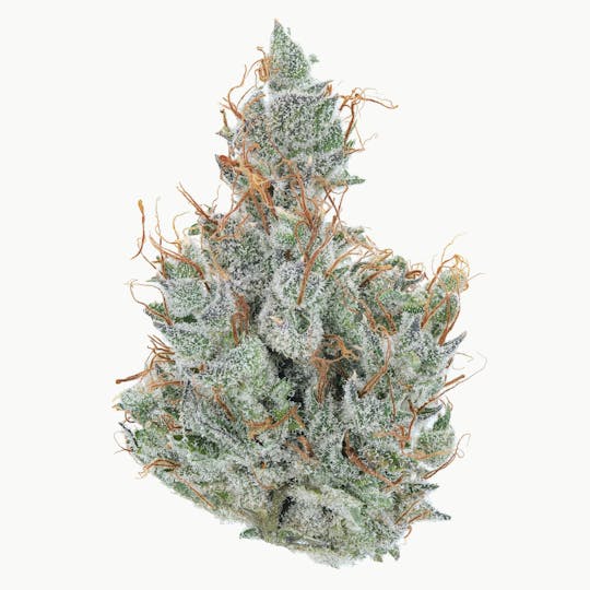 East Coast Cannabis - Afro Jam - 1