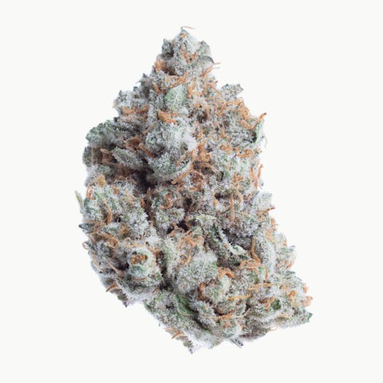 Snowblind Cannabis - Grease Lightning - 1