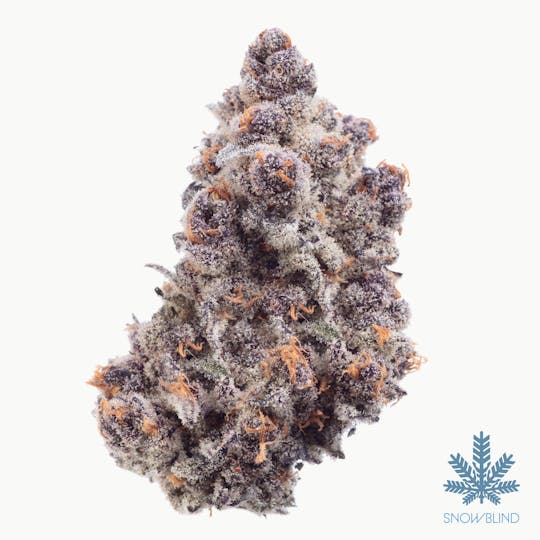 Snowblind Cannabis - Mind Melter - 1