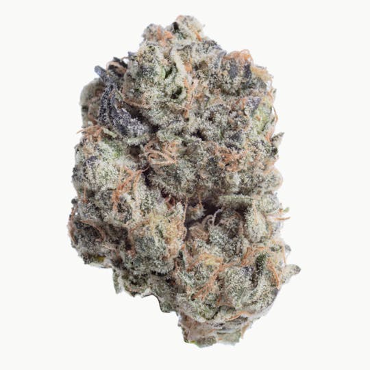 Snowblind Cannabis - Snake Charmer - 1