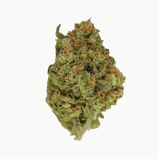 Purple Lotus - ASTRO - KUSH MINTZ - 1