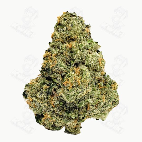Oro - DURBAN POISON *EXOTIC* - 1