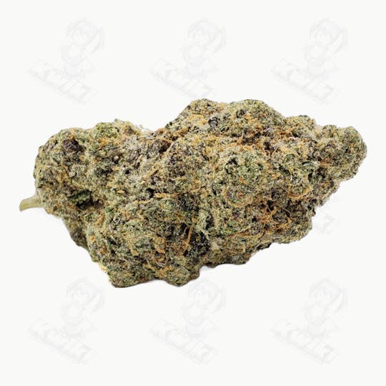 Oro - KUSH MINTZ *EXOTIC* - 1