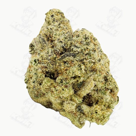 Oro - MAC DADDY *EXOTIC* - 1