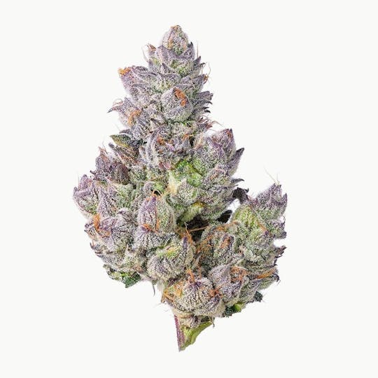 Purple Lotus - Blue Chip - Z'Animal Runtz 3.5g - 1
