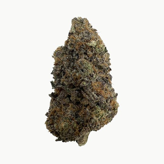 Indico - Rose Gold Runtz - Casco Botanicals (ONE 1/8 LEFT!) - 1