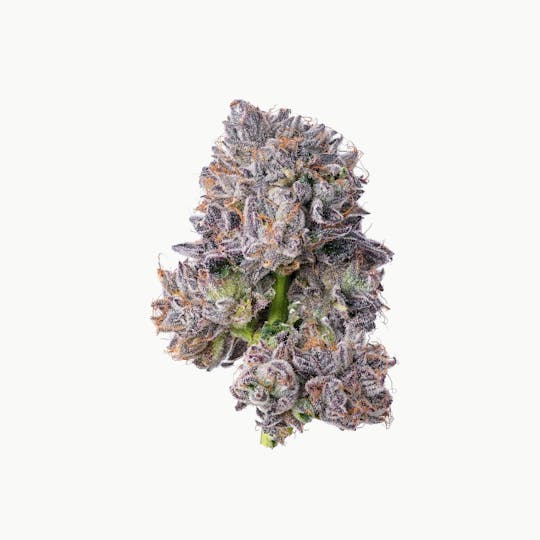 Purple Lotus - Blue Chip - Georgia Zkittlez - 1
