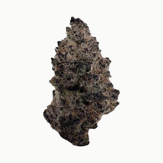 Indico - Super Buff Cherry -Indico - 1