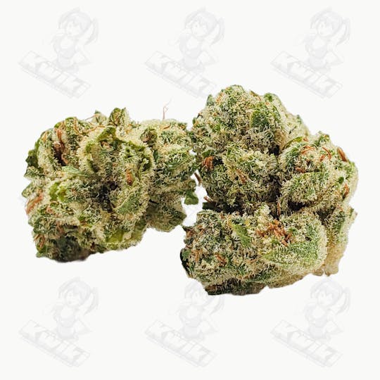 Oro - ASTRO POP *ULTRA EXOTIC SMALLS* - 1
