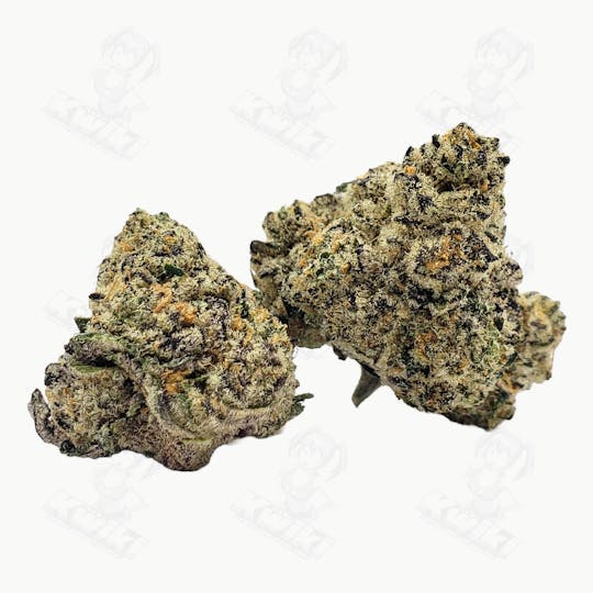 Oro - HORCHATA *ULTRA EXOTIC SMALLS* - 1