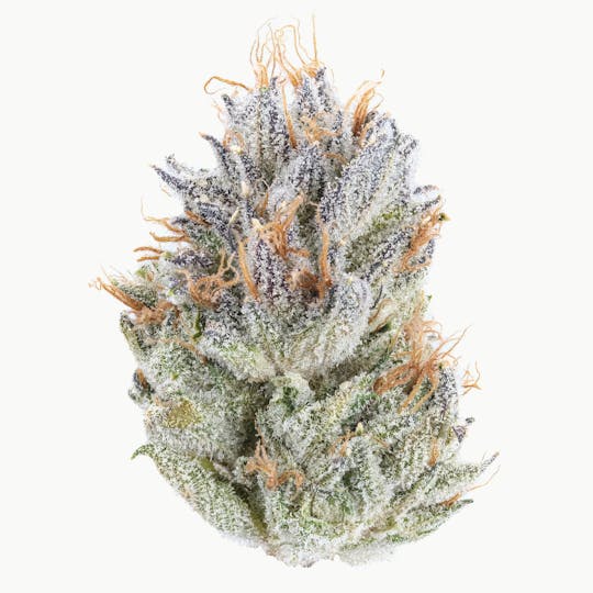 East Coast Cannabis - Strawnana - 1