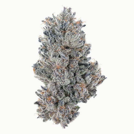 East Coast Cannabis - Pineapple Pez - 1