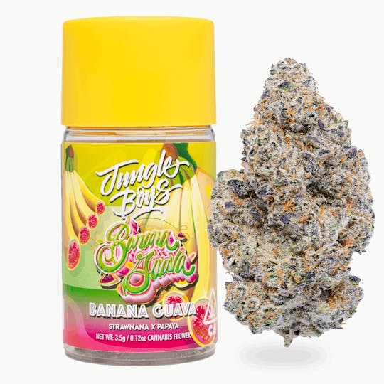 Jungle Boys - Jungle Boys | Banana Guava - 3.5g Jar - 1