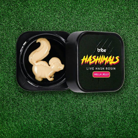 Tribe - Hashimals - Skunk - 1g - 1