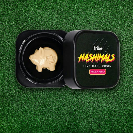 Tribe - Hashimals - Pig - 1g - 1