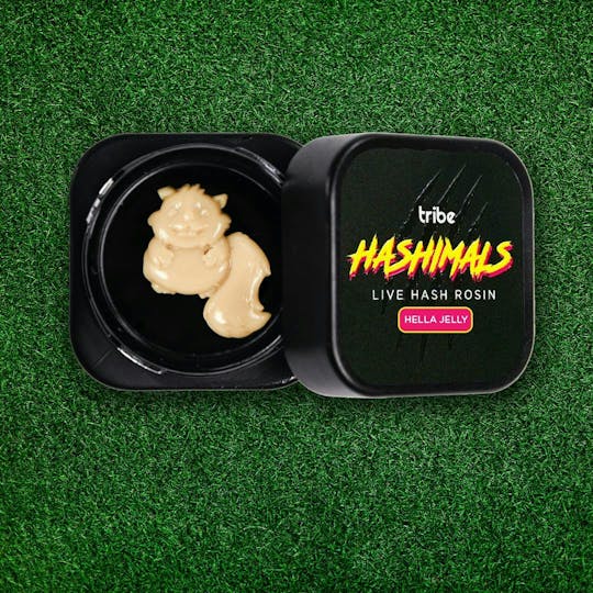 Tribe - Hashimals - Squirrel - 1g - 1