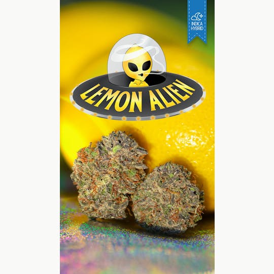 Great Northern Cannabis - Great Northern Cannabis Lemon Alien Flower (Indica) - 1
