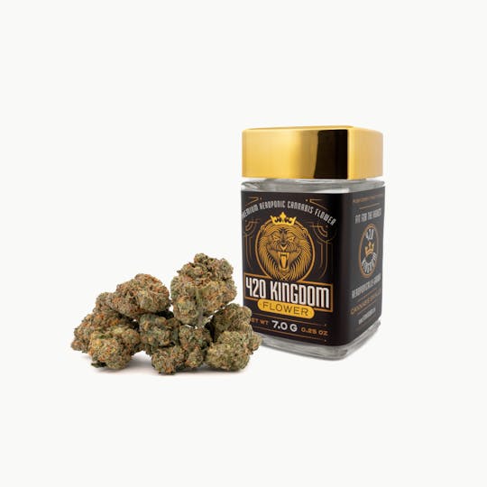 420 Kingdom - 420 Kingdom - Banana Cream Pie - 7g Flower - 1