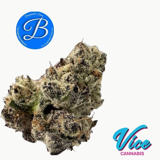 Vice Cannabis - Bungludetch - Sugar Tits: Flower - 1