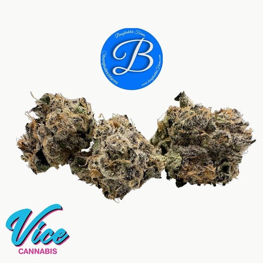 Vice Cannabis - Bungludetch - Eternity: Flower - 1