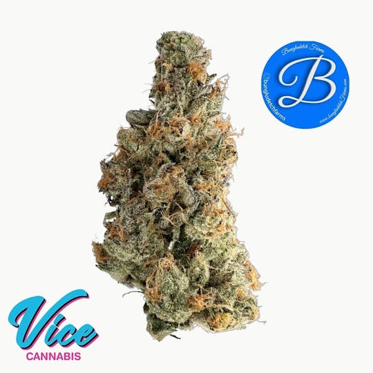 Vice Cannabis - Bungludetch - Fried Strawberry: Flower - 1