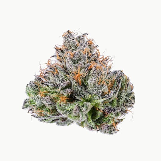 Purple Lotus - Blue Chip - Zkittlez - 1