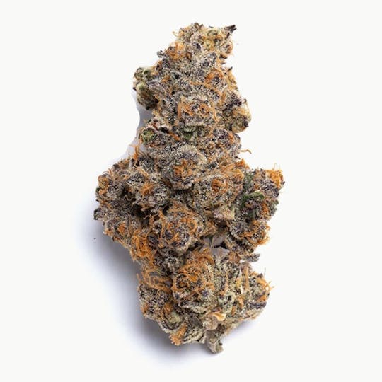 Purple Lotus - Blue Chip - Carbon Fiber - 1