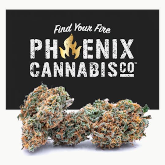 Phoenix Cannabis Co. - Lil Nugs PrePack (1/2 Oz) Christmas Tree x Jealousy - 1