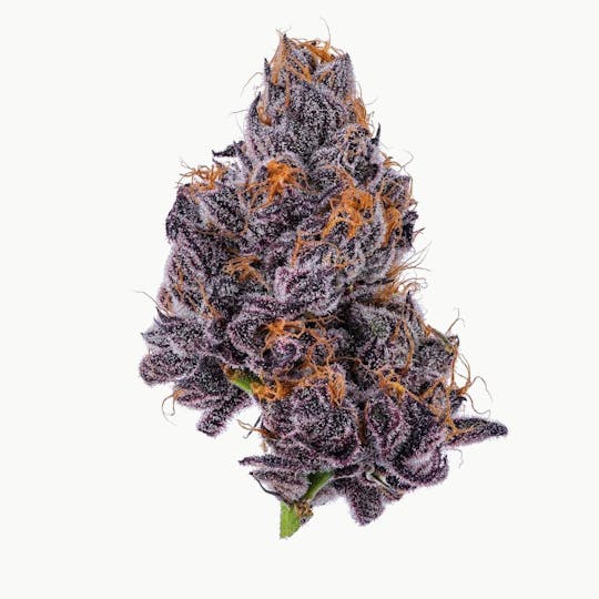 Purple Lotus - Blue Chip - Zereal Milk - 1