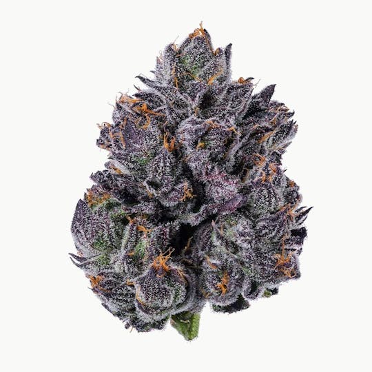 Purple Lotus - Blue Chip - Lemon Cherry Gelato 3.5g - 1