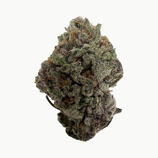 Indico - Forbidden Fruit - 1