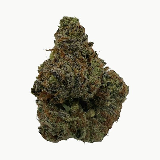 Indico - Zkittlez - Indico - 1