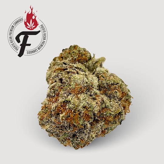 Fuego by Nature - Slapz's - Fuego - 1