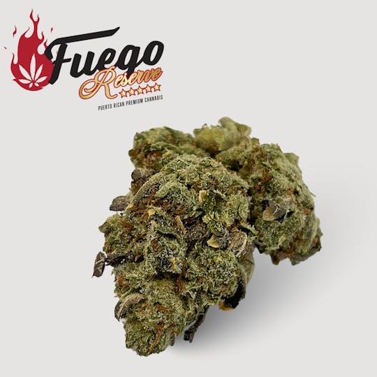 Fuego by Nature - Scott's OG - Fuego - 1