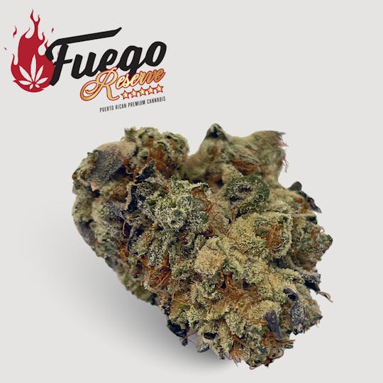 Fuego by Nature - Cuban Linx - Fuego - 1