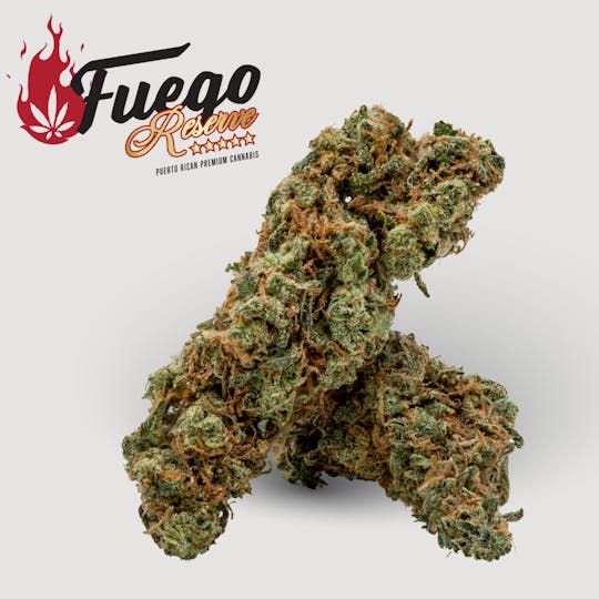 Fuego by Nature - Northern Lights - Fuego - 1