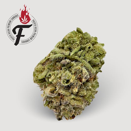 Fuego by Nature - Grease Monkey - Fuego - 1