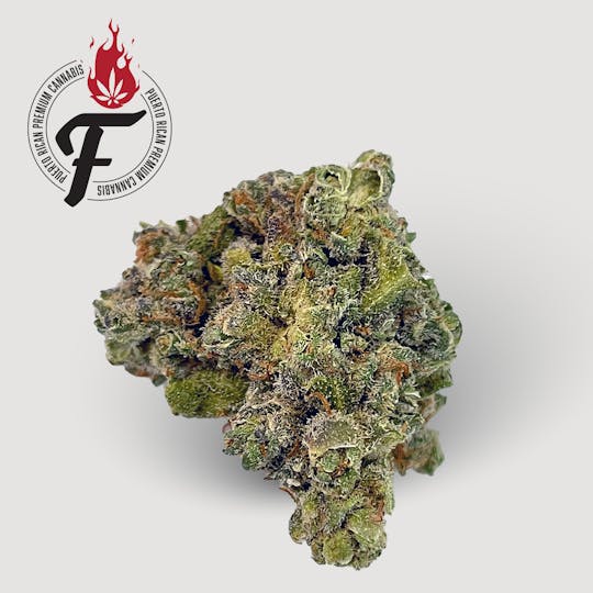 Fuego by Nature - Trinity - Fuego - 1