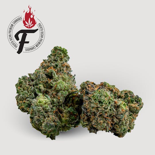 Fuego by Nature - Vanilla Frosting - Fuego - 1