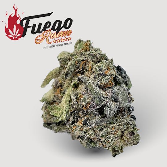 Fuego by Nature - Gummiez F1 - Fuego - 1